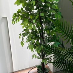 観賞用の植物（人工物）の画像