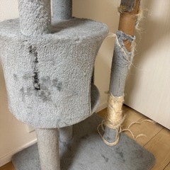 キャットタワーの画像