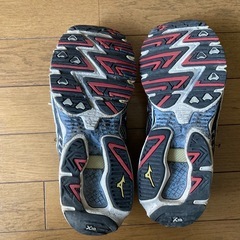 ミズノ ウエーブライダー13  28.0 の画像
