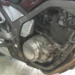 YAMAHA SRX400-4 赤 エンジン始動確認 車検取得で乗れます 半額配送キャンペーン 期間限定 現状渡し諸経費￥0- 横浜 P-Yardの画像