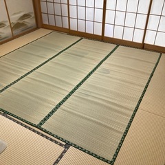い草上敷きの画像