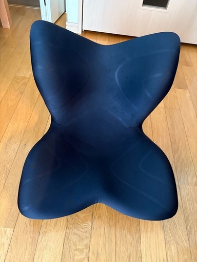 ＭＴＧ　Style premium 椅子