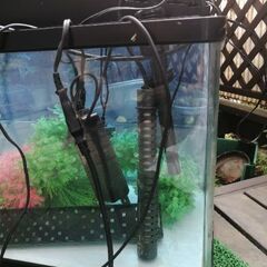 NISSO 60センチ　未確認　ジャンクの画像