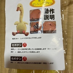 ダンシングアヒルの画像