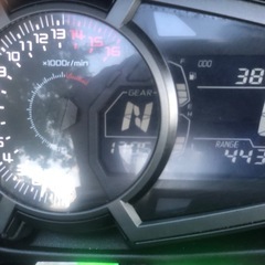KAWAZAKI NINJA 250  2021年の画像