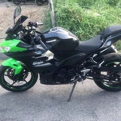 KAWAZAKI NINJA 250  2021年の画像