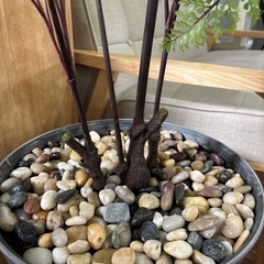 おまけ付き❕フェイクグリーン🪴約160cm🌟人工観葉植物🌿造花‪🌱‬お洒落✨️キャスター台座🛞の画像