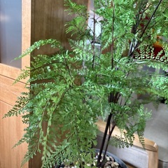 おまけ付き❕フェイクグリーン🪴約160cm🌟人工観葉植物🌿造花‪🌱‬お洒落✨️キャスター台座🛞の画像