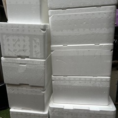 発泡スチロールの画像