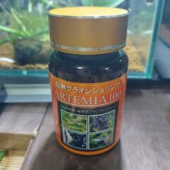 殻無しブラインエサとベタ稚魚