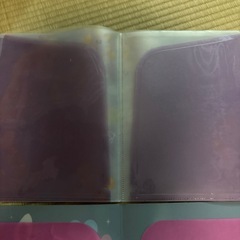 ラプンツェル　音符のクリアファイルの画像