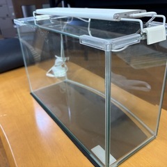 インテリアでメダカや小さな魚を飼いませんか？ガラス製水槽。小さい子やお年寄りにプレゼント！自分への癒しに！の画像