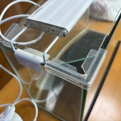 インテリアでメダカや小さな魚を飼いませんか？ガラス製水槽。小さい子やお年寄りにプレゼント！自分への癒しに！の画像