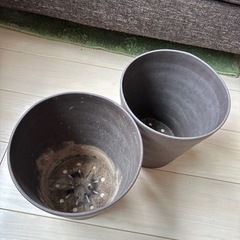 プランター　中サイズの画像