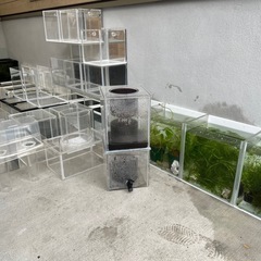 水槽いろいろ&水草セットの画像