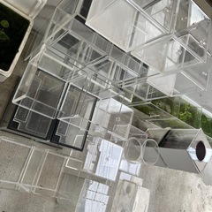 水槽いろいろ&水草セットの画像