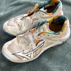 ミズノ MIZUNO 25.5センチ　ウエーブライトニング Z8 V1GA2400 バレーボールシューズ 6カラーの画像