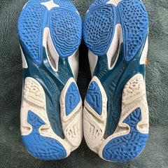 ミズノ MIZUNO 25.5センチ　ウエーブライトニング Z8 V1GA2400 バレーボールシューズ 6カラーの画像