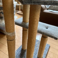 キャットタワーの画像
