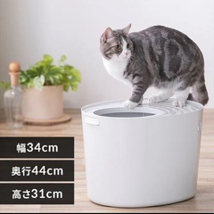 上から入る猫トイレ プチの画像