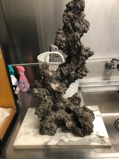 実家からでてきた