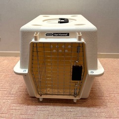 犬　バリケンネルの画像