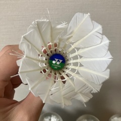 バドミントンシャトル【ノック用】
の画像
