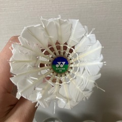 バドミントンシャトル【ノック用】
の画像