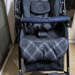 Pigeon　AB型ベビーカーの画像