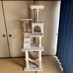 キャットタワーの画像