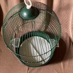 ドーム型鳥かごの画像
