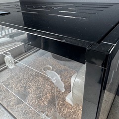 ０円｜ハムスターケージの画像