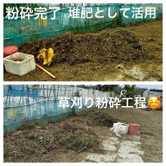  １年間の開業キャンペーン「2026.3 まで」 - 那覇市