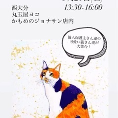 🌸🐈猫ちゃんの譲渡会🐈🌸