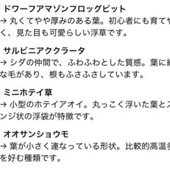 浮草の画像
