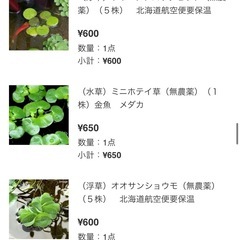 浮草の画像