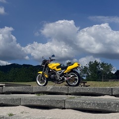 YAMAHA  r1-z  　の画像