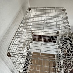 猫　ケージの画像