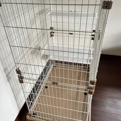 猫　ケージの画像