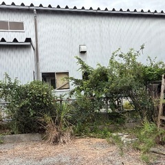 お庭の草刈り助けてください！