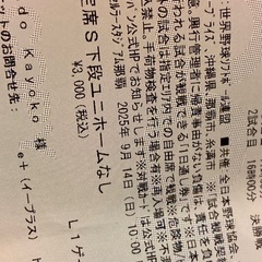 時間変更！U18高校野球9/14決勝バックネット裏チケットの画像