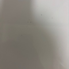 テーブルの画像