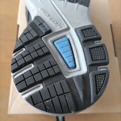 ダンロップスニーカー　25.5cmくらいの画像