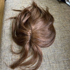 カツラ
の画像
