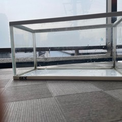 水槽　　　カメ　飼育ケースの画像