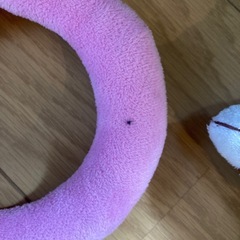 輪投げのおもちゃの画像