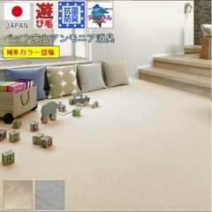 カーペット 6畳の画像