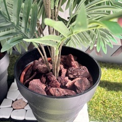 差し上げます。人工植物　フェイクグリーン　2個　の画像