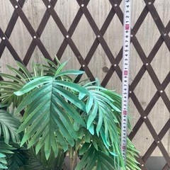 差し上げます。人工植物　フェイクグリーン　2個　の画像