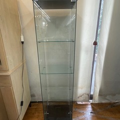 コレクションケース　ガラスのご紹介ですの画像